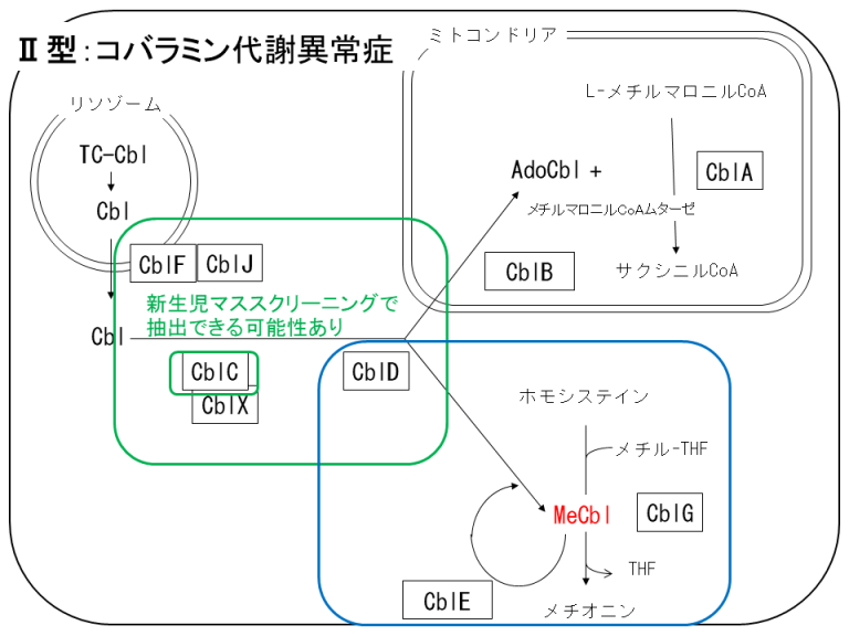 JaSMIn通信特別記事No.17 JaSMIn先天代謝異常症患者登録制度